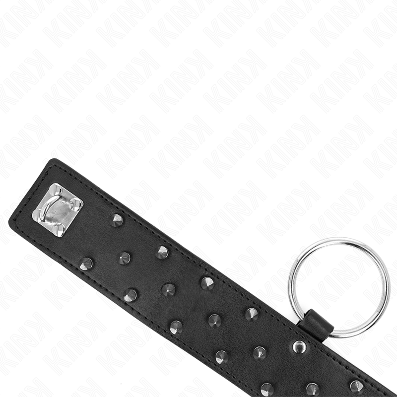 KINK halsband med koppel 65 cm och silverdetaljer