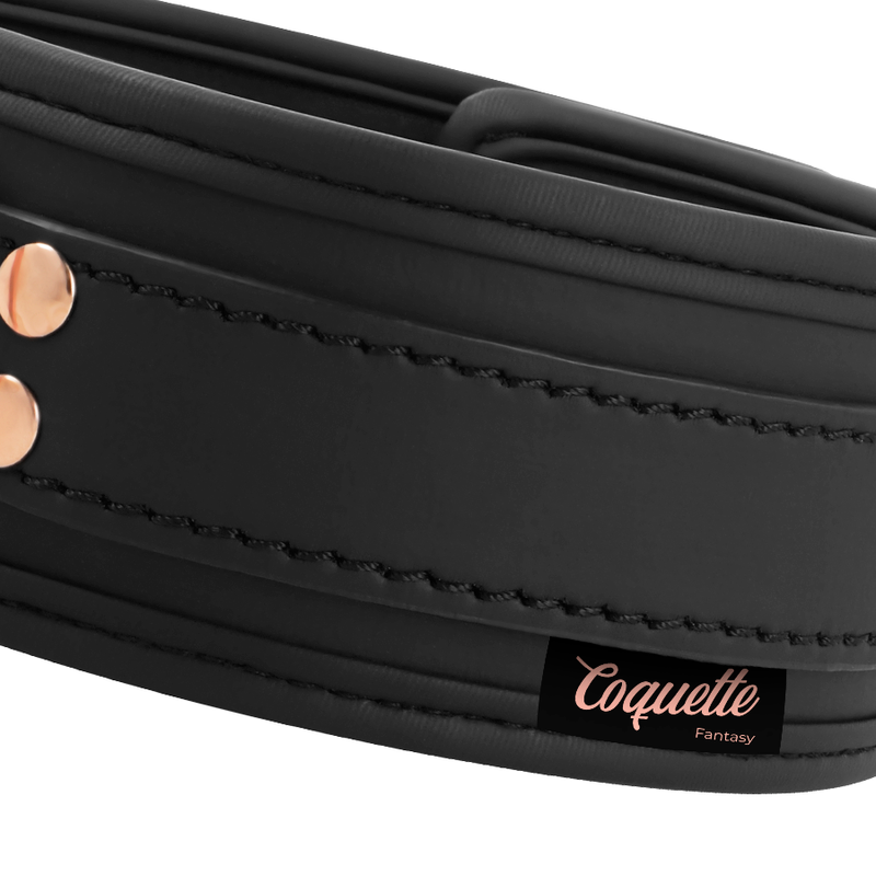COQUETTE CHIC DESIRE Fantasy halsband i veganläder