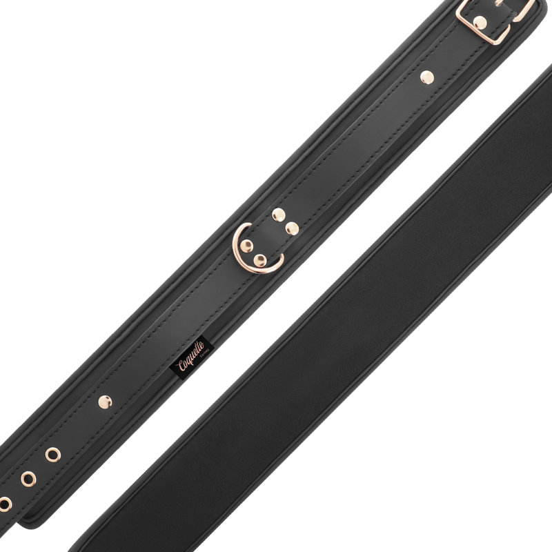 COQUETTE CHIC DESIRE Fantasy halsband i veganläder