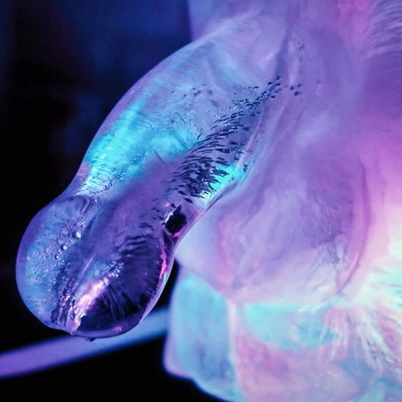 Gigantisk penis isform för fest och roliga stunder