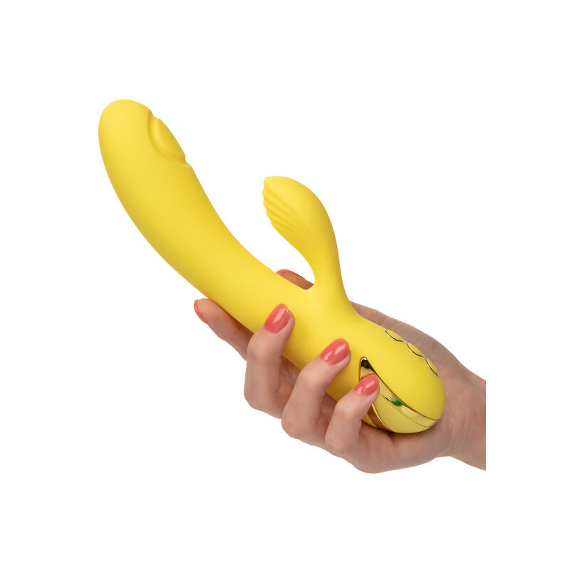 CALEXOTICS San Diego Seduction massager