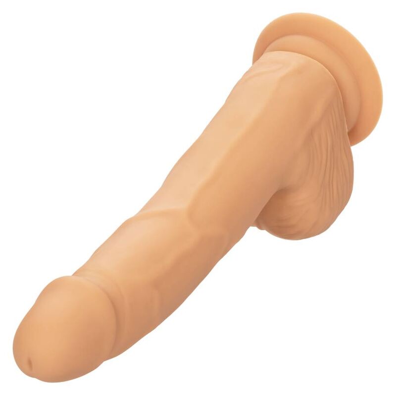 CALEXOTICS - SILIKONSTUDS 20.32 CM HUD