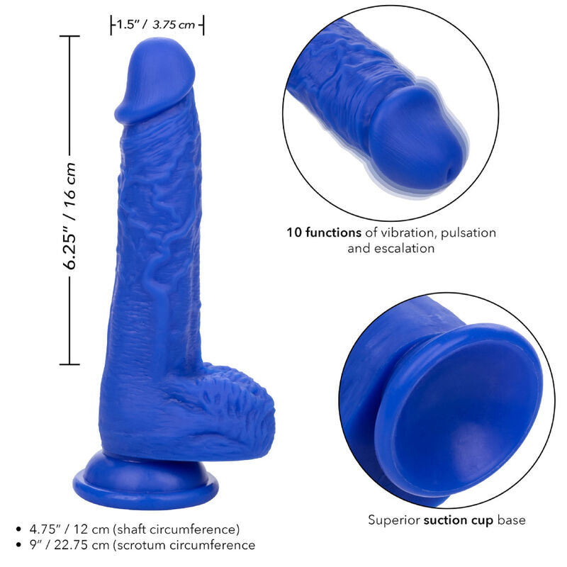 CALEXOTICS - ADMIRAL SAILOR REALISTISK DILDO VIBRATOR BLÅ