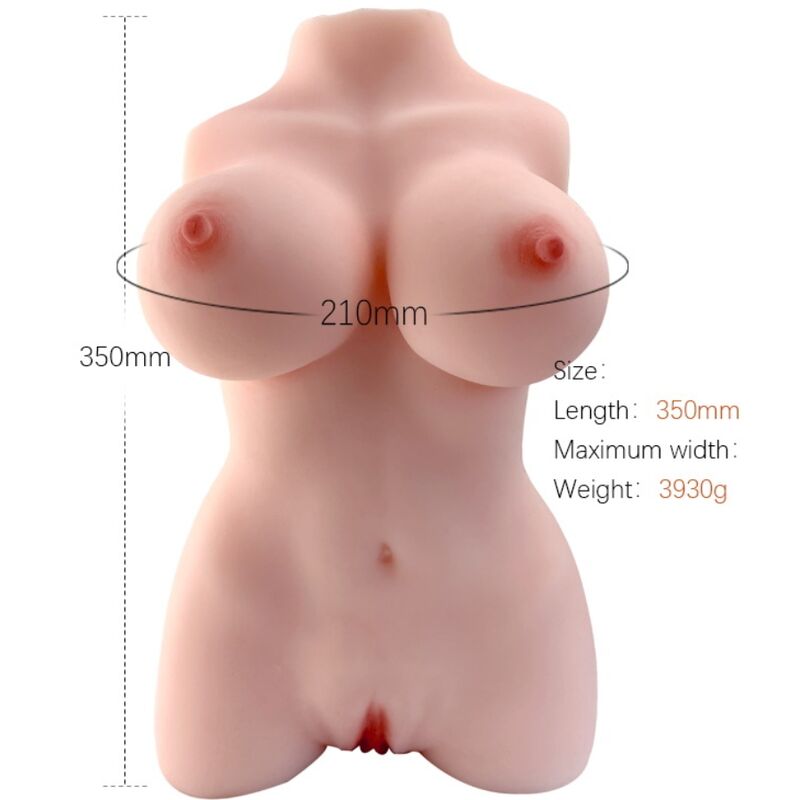 Realistisk kvinnlig torso modell från Armony