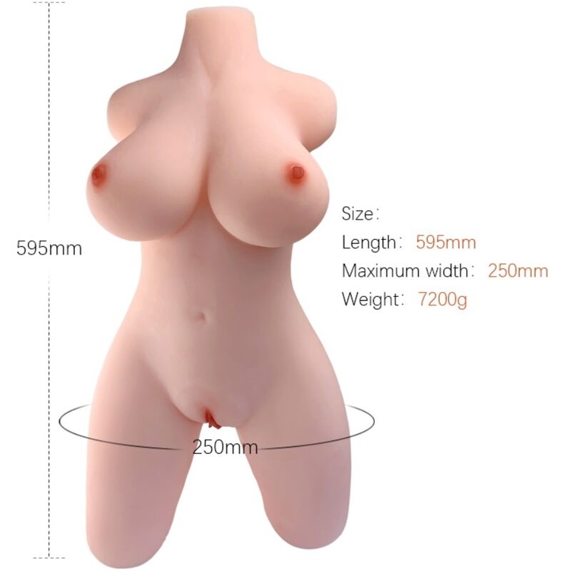 ARMONY - Realistisk kvinnlig torso modell 2