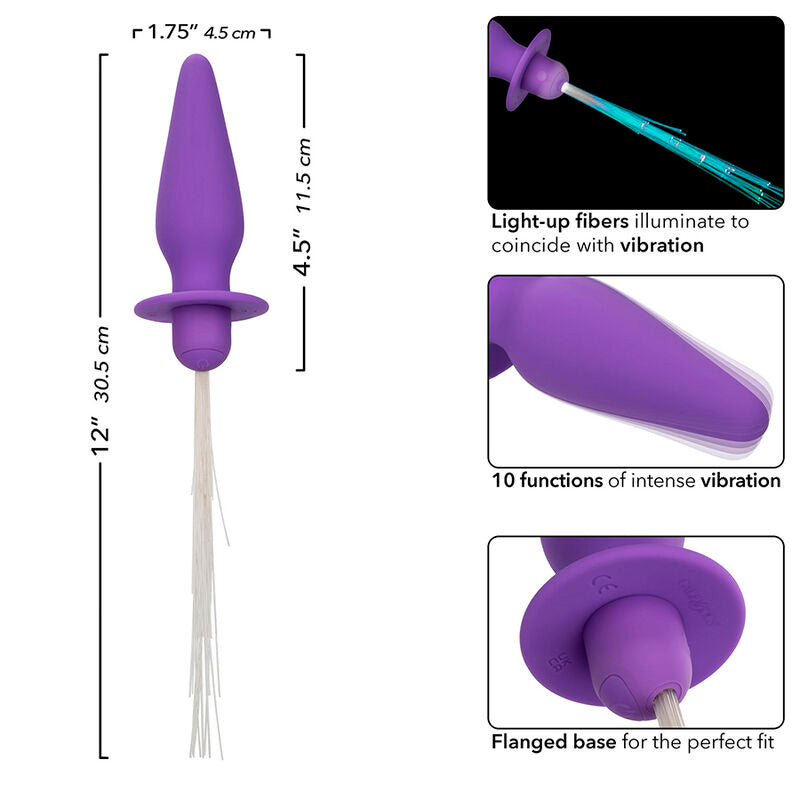 CALEXOTICS - SOUTHERN LIGHTS LYSANDE ANALPLUGG 10 VIBRATIONER SILIKON LILA