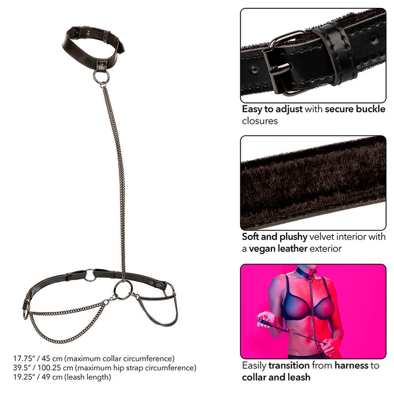 CALEXOTICS - EUPHORIA KEDJEHALTERHALSBAND & KOPPEL