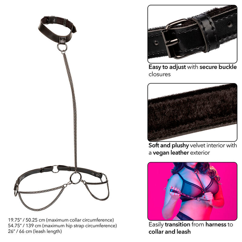 Euphoria Chain Halterhalsband och koppel i plus size