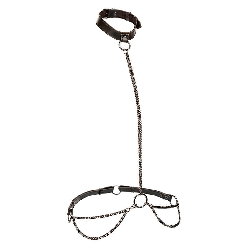 Euphoria Chain Halterhalsband och koppel i plus size