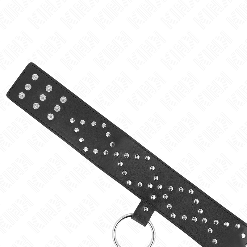 KINK halsband 65 cm med koppel och silverdetaljer