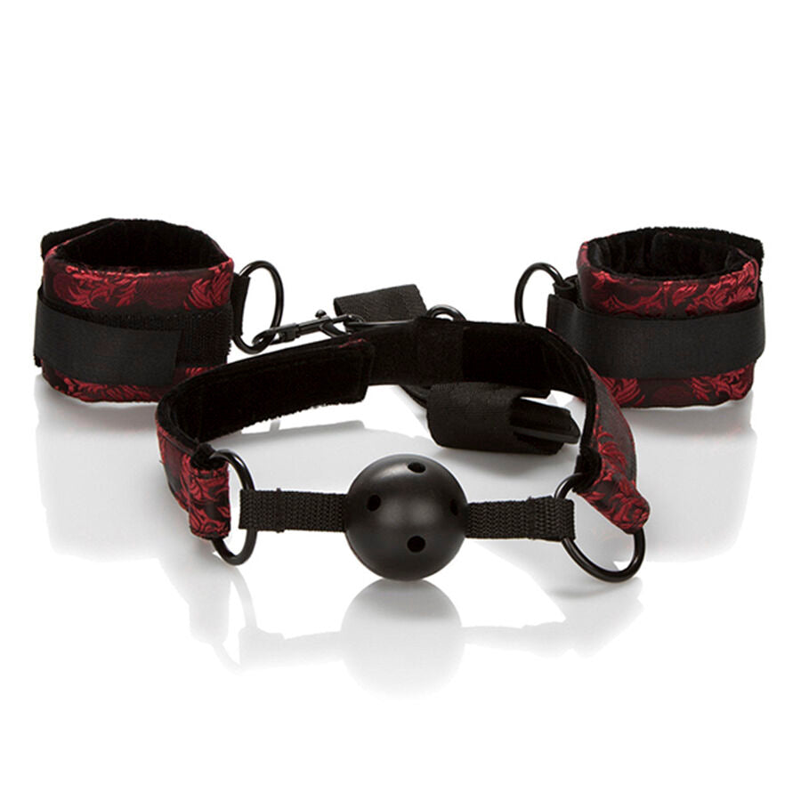 CALEXOTICS - SCANDAL ANDNINGSBAR BALLGAG MED HANDKJEDJOR