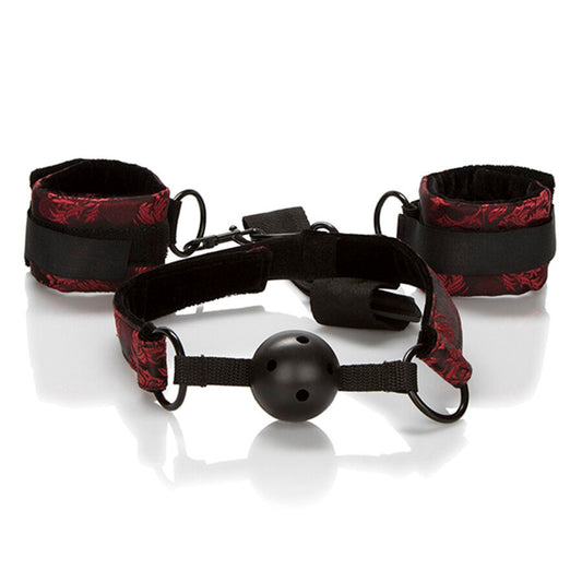 CALEXOTICS - SCANDAL ANDNINGSBAR BALLGAG MED HANDKJEDJOR