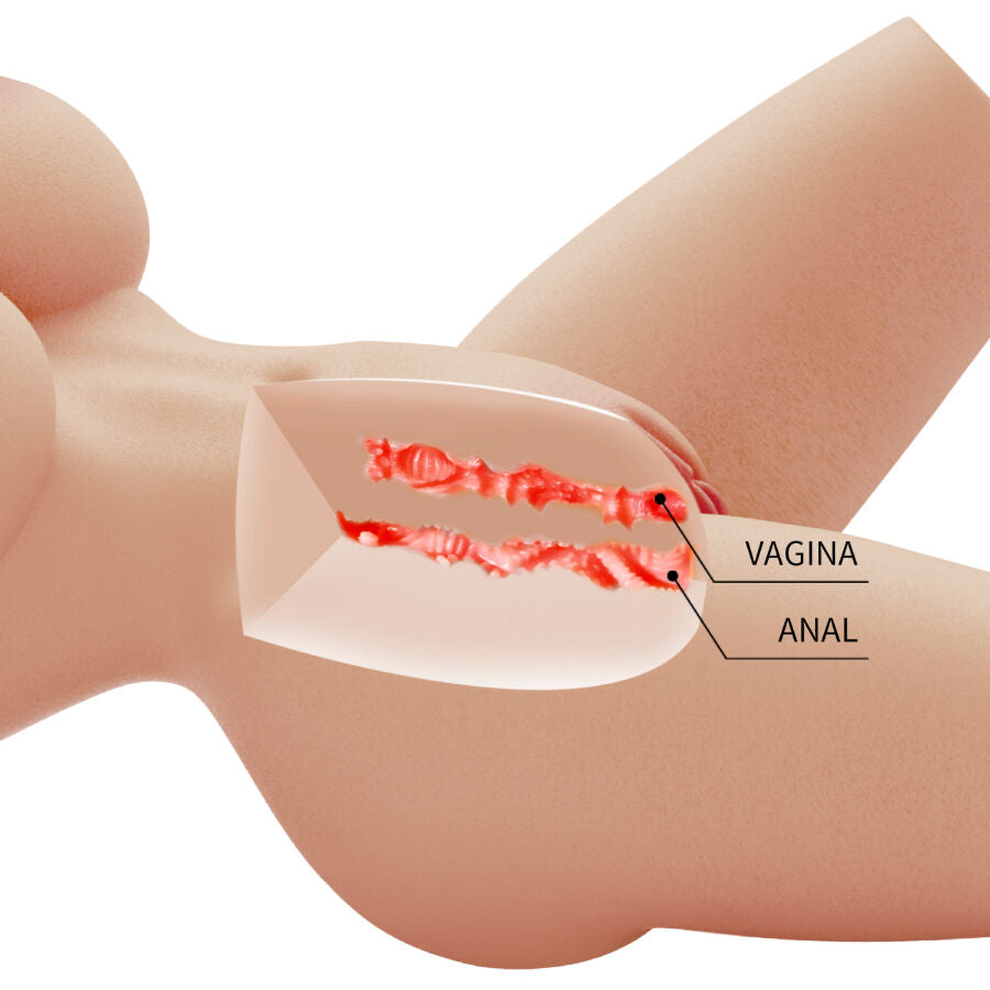 LILY realistisk kvinnlig torso med vagina och analöppning