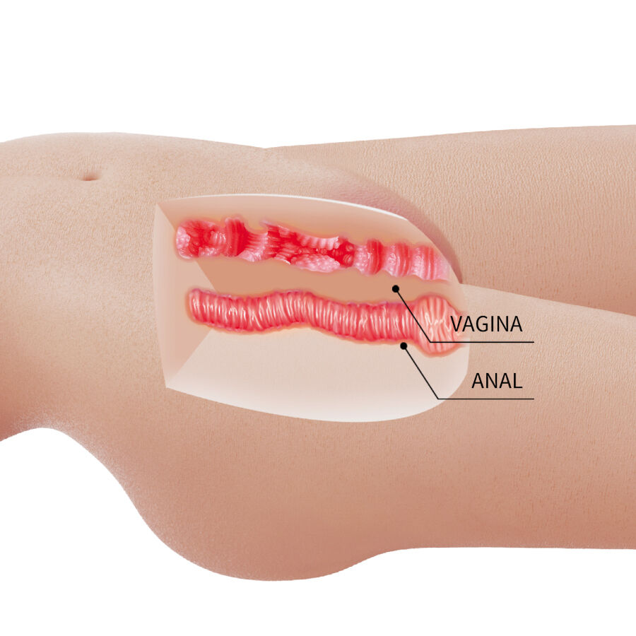 MIA realistisk kvinnlig torso med vaginal och anal öppning
