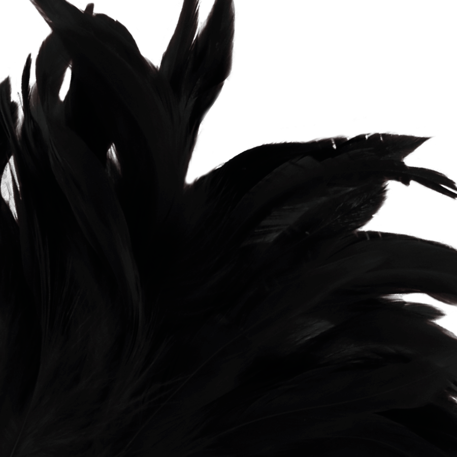 DARKNESS Black Lux Stimulating Pen