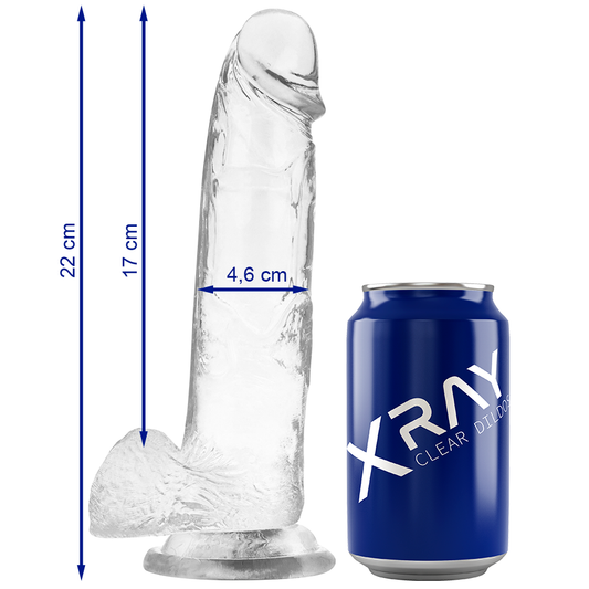 X RAY Klar Penis med Bollar 22 CM