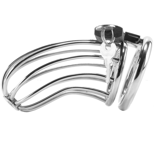 METAL HARD Bird Chastity Ring Cage i rostfritt stål