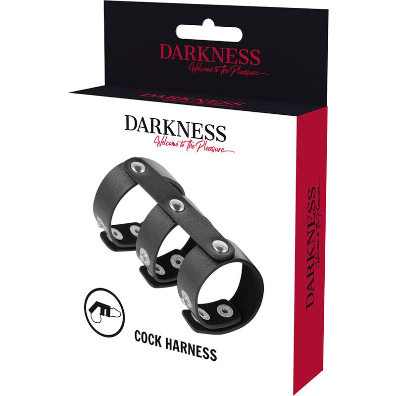 DARKNESS justerbar läder dubbel penis- och testikelring