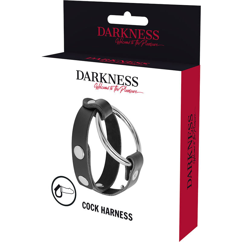 DARKNESS BDSM cock- och testikelring i svart metall